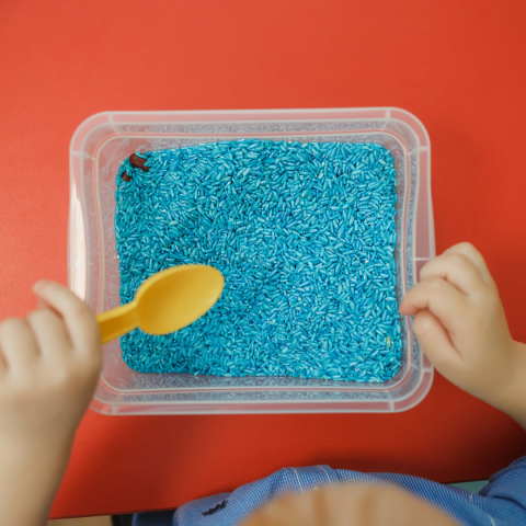 sensory bin 