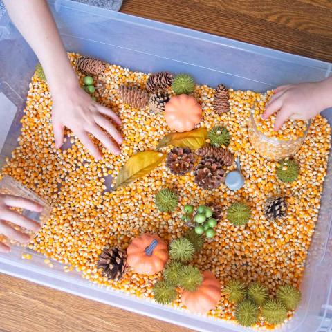 fall sensory bin