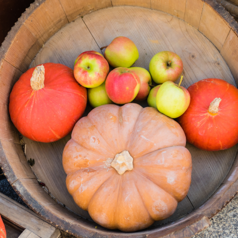 apples and pumpkins