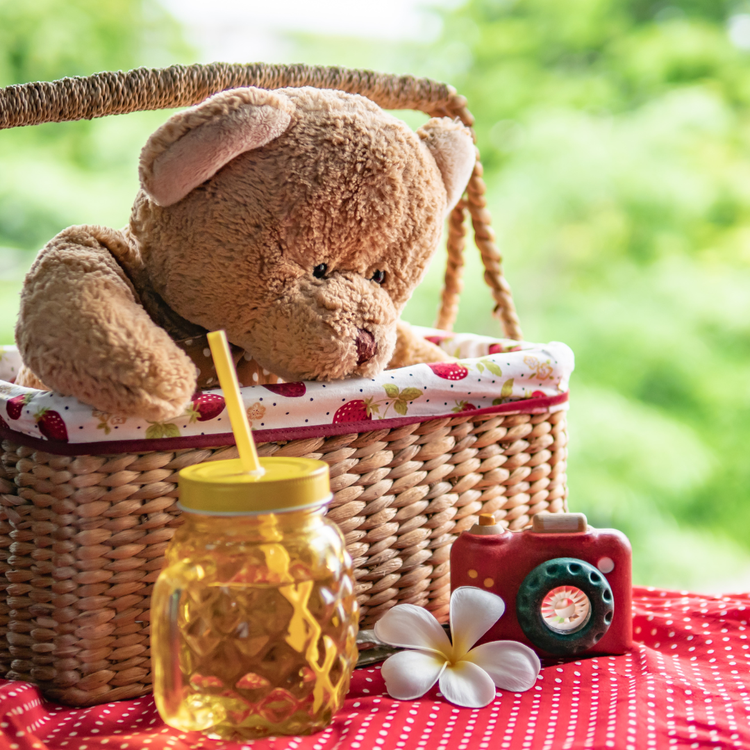 teddy bear picnic