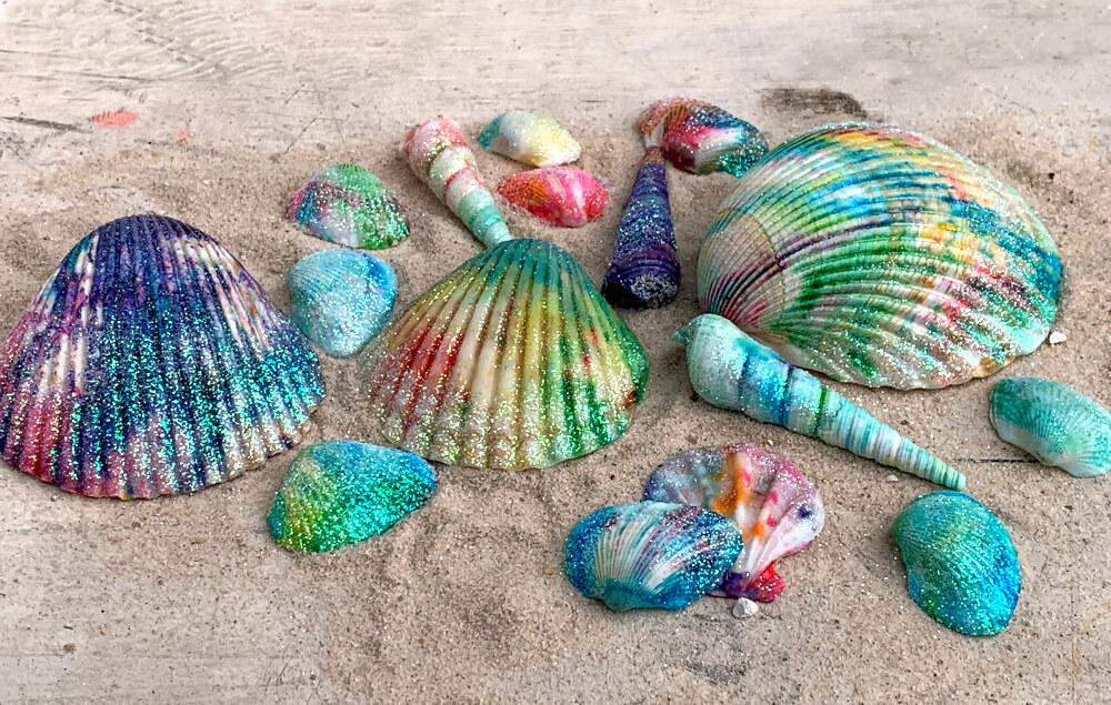 seashells