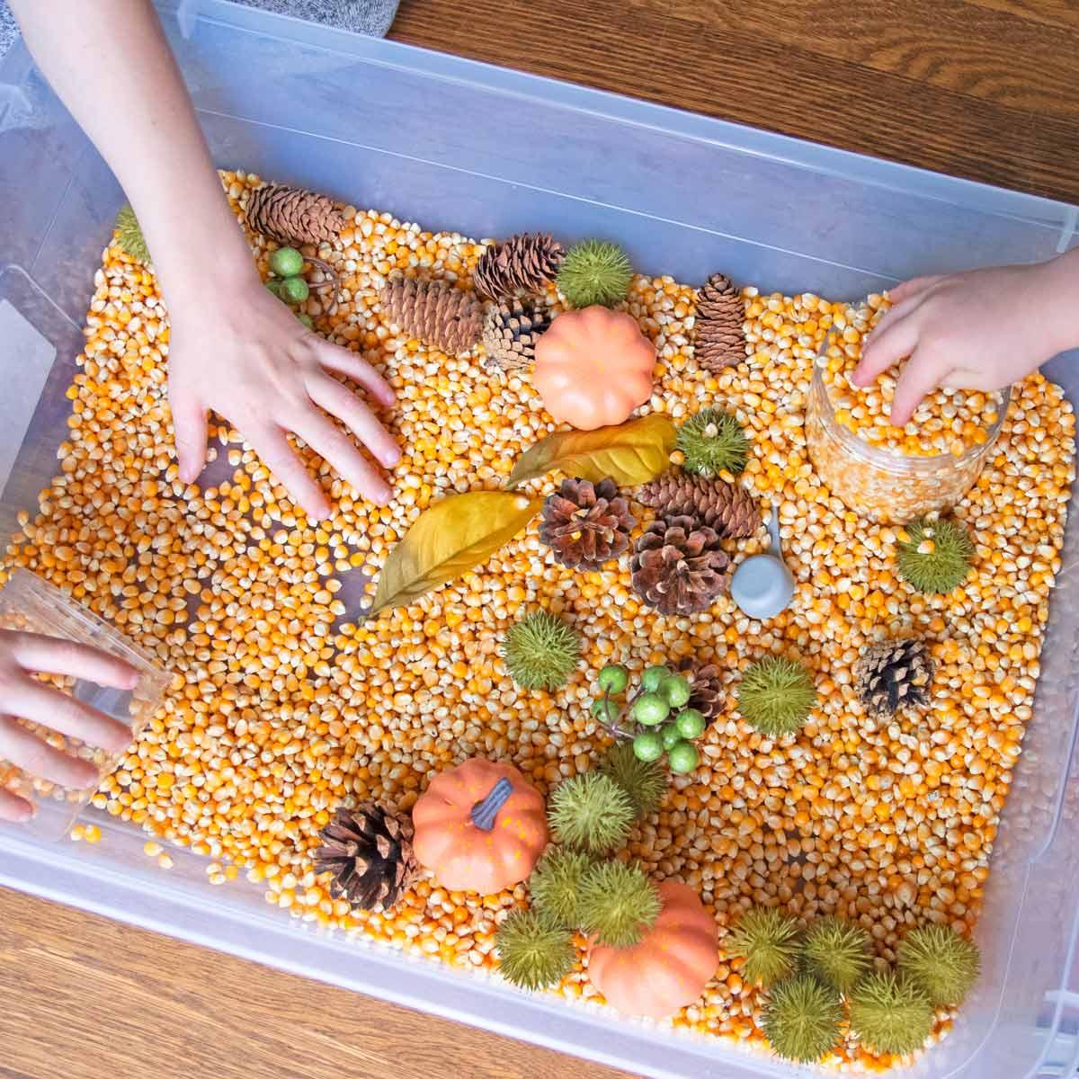 fall sensory bin