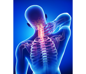 Back and Neck Pain Seminar