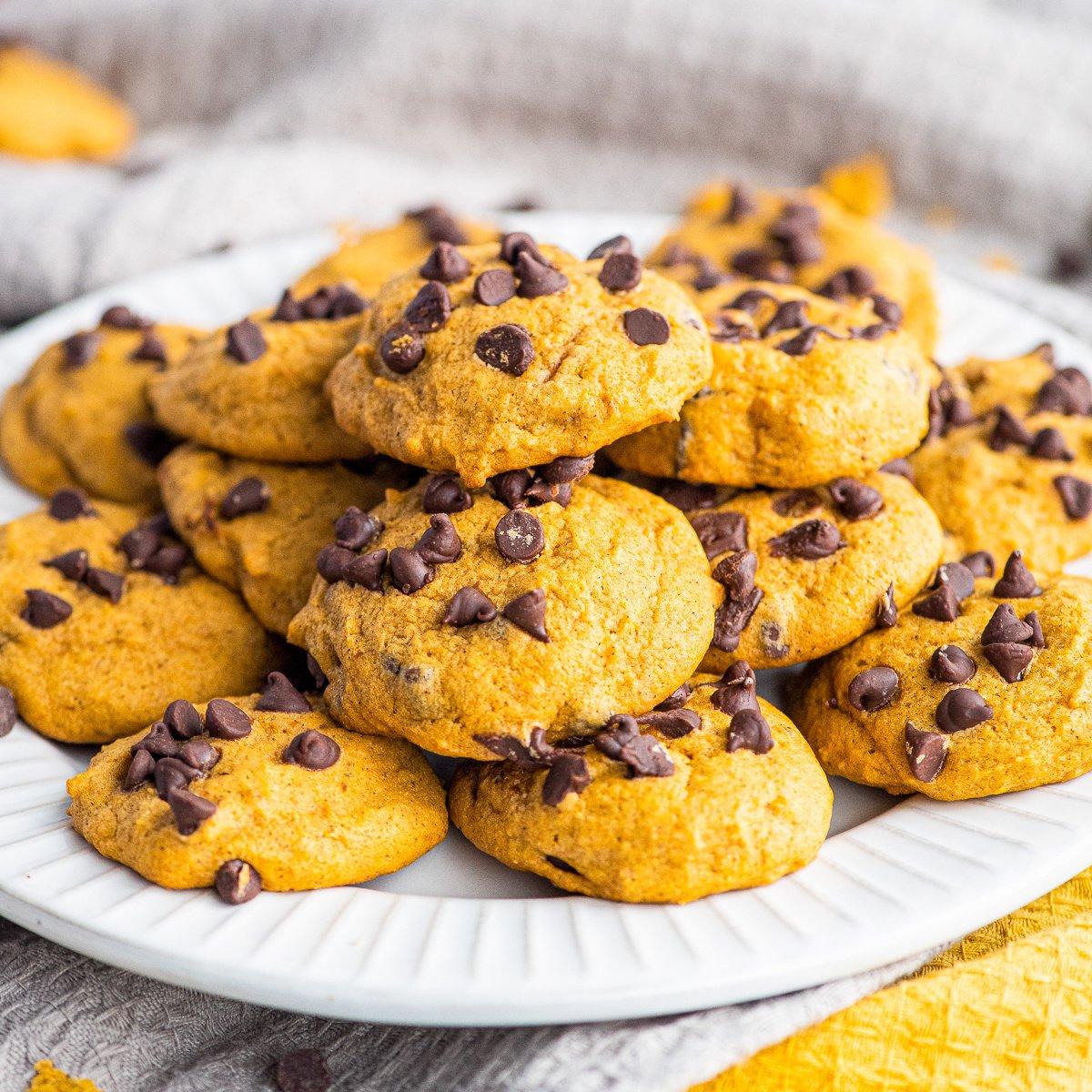 pumpkin chocolate chip cookies